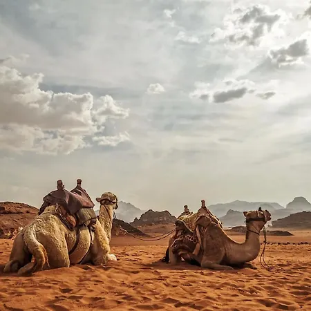Wadi Rum Alora Luxury Camp Exterior photo