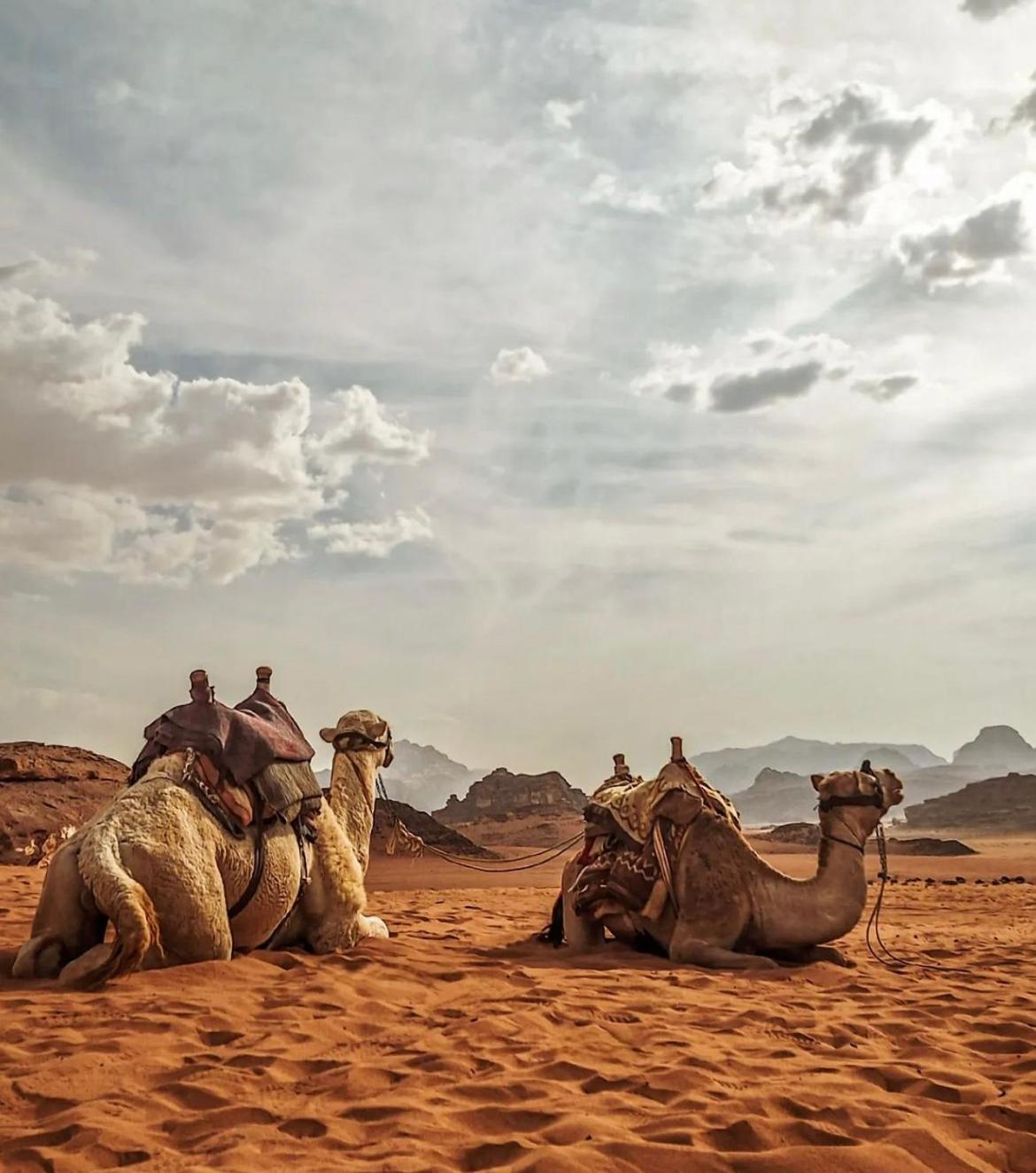 Wadi Alora Luxury Camp *